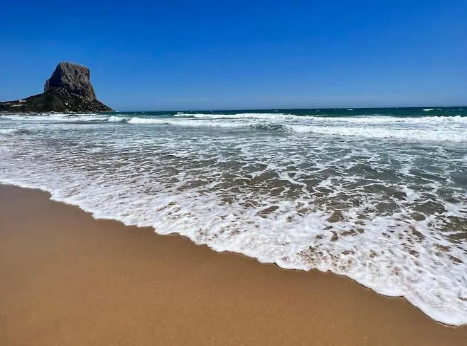 Olta 5 Sea View 아파트